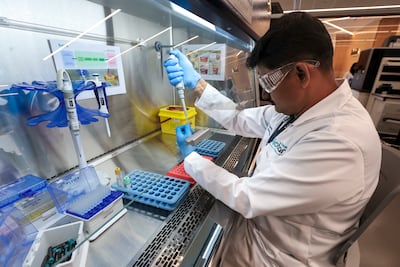 The Abu Dhabi Biobank stores huge amounts of biological data. Victor Besa / The National