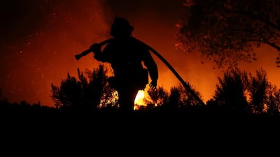 If climate changes continues unabated, natural disasters will only worsen. Reuters