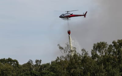 Firefighters battle a blaze at Holme Fen Nature Reserve in Huntingdonshire. Getty Images