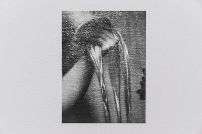 Jochen Lempert also photographs natural movements in paintings as part of his work. Antonie Robertson / The National