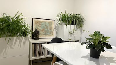 Plants not be able to tolerate the heat have been brought indoors