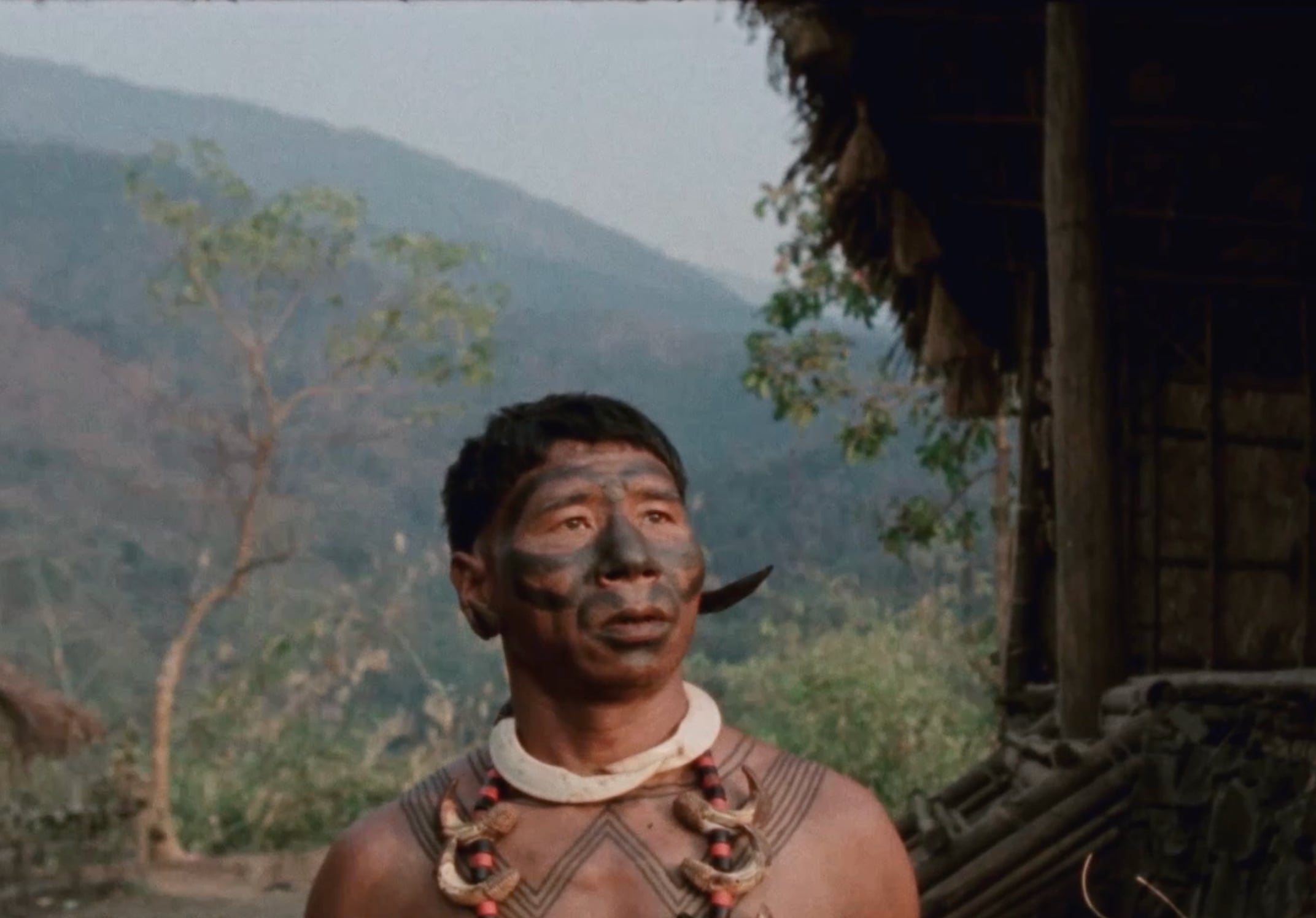 Angh won the Platform Prize at the Toronto International Film Festival, automatically qualifying for the Best International Feature Film award at the Oscars. Photo: Angh