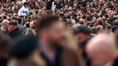 Jockey Nico de Boinville on Constitution Hill after winning the Supreme Novices' Hurdle. AFP