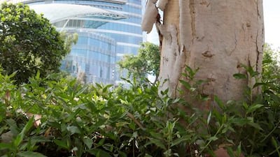 Aside from the essential updating of facilities, the residence has remained largely unchanged since the 1970s. Christopher Pike / The National