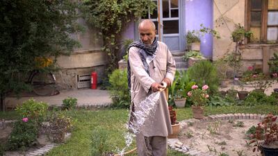 Khaka Khalil, Kabul, Afghanistan, 2017: "The house was built for King Amanullah Khan’s secretary in the 1920s. My father was the tailor to the royal family, and moved us there when I was a boy. There was a building on that side, but we demolished it to make the garden bigger. We had apples, cherries, pears and pomegranates, but we never picked them. My father used to tell us to leave the fruits there to make the house more beautiful. During the civil war, we moved away. Everything died; it was heart-breaking. When the Taliban left, we could start gardening again. The situation is not good in Kabul now: security, unemployment, you know. And the city is so noisy and polluted, but flowers freshen your mind and bring you peace." Photo: Lalage Snow