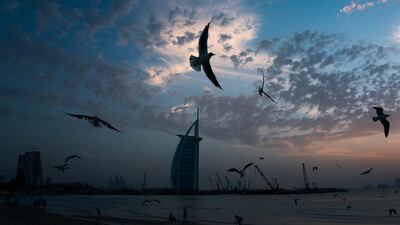 Seagulls soar over those gathered on a beach in front of the Burj Al Arab hotel despite the global new coronavirus pandemic. AP