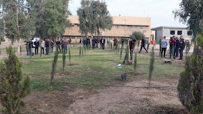 They placed the first 300 acacia, lemon and cypress saplings into the ground. Much of Mosul still lies in ruins. AFP