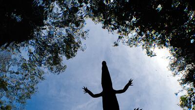 Highly Commended, Mangroves & Underwater, Alvaro Herrero Lopez-Bletran, Mexico. Photo: Alvaro Herrero Lopez-Bletran / Mangrove Photography Awards