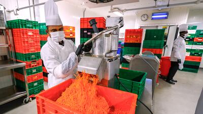 Vegetables such as carrots and lettuce are chopped by a chopping machine called the robot coupe.