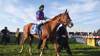 Victor Espinoza rides atop California Chrome #3 during the post parade for the 139th running of the Preakness Stakes at Pimlico Race Course on May 17, 2014 in Baltimore, Maryland. Patrick Smith/Getty Images/AFP