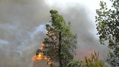 President Abdelmadjid Tebboune calls the fires a 'disaster' and urges the preservation of national unity.