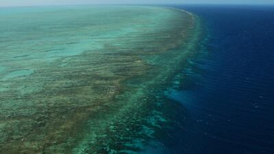 An aerial view of the Great Barrier Reef seen in Cairns, Australia on August 7, 2009. Phil Walter/Getty Images