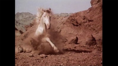 Blood of Hussain. Courtesy Jamil Dehlavi