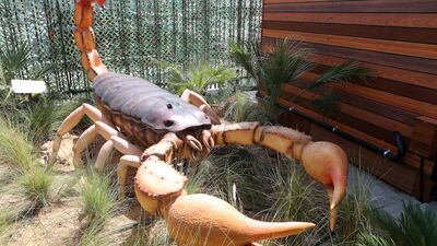 Guests can scan a QR code to view more information about the featured animals