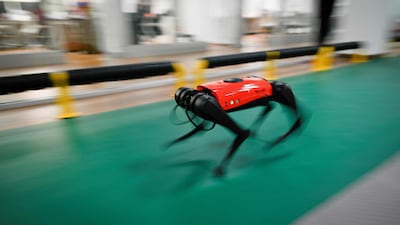 An AlphaDog quadruped robot running in a workshop at the Weilan Intelligent Technology Corporation in Nanjing. Wang Zhao / AFP