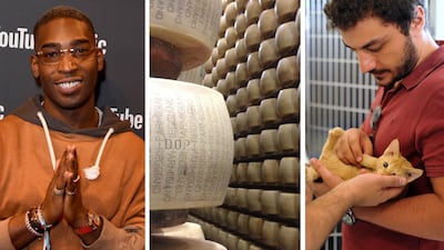 A Tinie Tempah performance, cheese festival and animal adoption days: expect a busy and varied weekend in the UAE this week