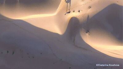 Ekaterina Kovshova (Nature) Shot on HUAWEI Mate 20 Pro