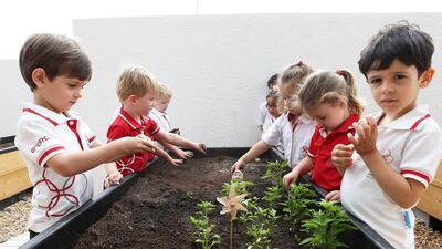 Starting them young. Pupils at Swiss Scientific International School in Dubai learn about planting at the school’s organic garden. Pawan Singh / The National