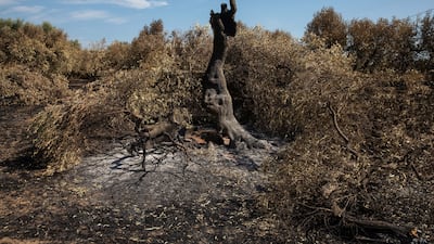 On Tuesday, 11 planes, one helicopter and 407 firefighters sent by the EU were tackling the fires north of the city of Alexandroupolis