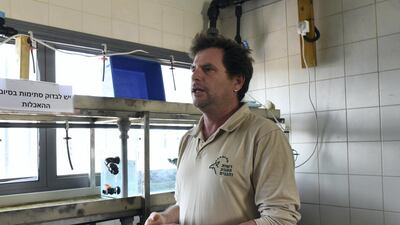Yaniv Levy, manager of Israel's National Sea Turtle Rescue Centre, holds a turtle rescued following the oil spill. Rosie Scammell for The National
