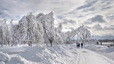 A winter wonderland around Niagara Falls. James Neiss / The Niagara Gazette via AP