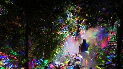 NightGarden, an annual holiday experience featuring thousands of lights and special effects, at Fairchild Tropical Botanic Garden in Coral Gables, Florida. AP