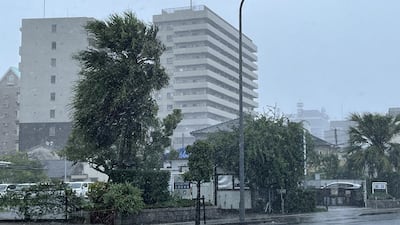 Trees in Miyazaki on the island of Kyushu are blown by strong winds as Typhoon Nanmadol approaches south-western Japan. EPA