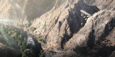 The new ant species was uncovered in Sharjah's Wadi Shees