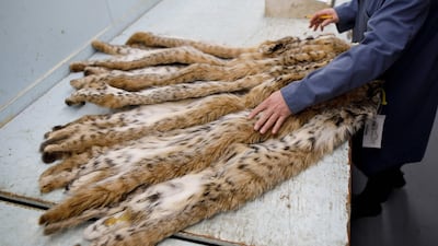 With a pandemic, the war between Ukraine and Russia - two key markets - and the multiplication of bans by luxury brands, the fur industry is undergoing many shocks. AFP