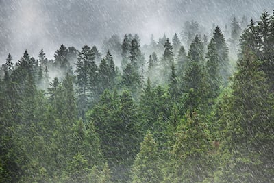 Rain sounds are typically classified as pink noise, but can depend on the heaviness of the downpour. Getty Images