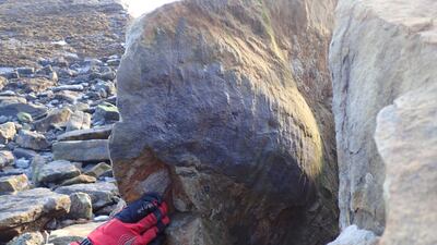 A fossil find in northern England has provided proof of giant millipedes. PA.