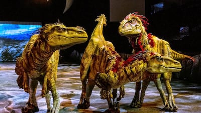 Three lifelike dinosaurs, part of the Walking with Dinosaurs, the Arena Spectacular, in New York. The show, based on an award-winning BBC Television series, travels 200 million years from Triassic to the Jurassic and Cretaceous periods, and features 10 species of dinosaur. It is produced by Global Creatures, the Australian company behind the new musical King Kong, the Tony Award-winning War Horse and How To Train Your Dragon. AP