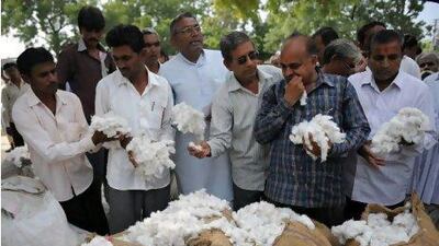 Buyers gather for a cotton auction at the Agricultural Produce Market Committee (APMC) at Ambliyasan village of Mehsana district, some 60 kms. from Ahmedabad, on November 16, 2010. Analysts forecast India will produce nearly 32 million bales of cotton in 2010-11, against 28 million bales in 2009-10. AFP PHOTO / Sam PANTHAKY