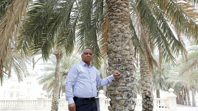 Dr Yassir Makkawi , a professor at the American University of Sharjah, says the treasured Date Palm tree could be a valuable resource in the fight against climate change. Pawan Singh / The National