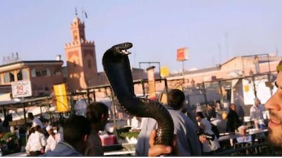 Jemaa El Fna Square in Marrakesh, Morocco, freely offer the services of snake charmers, tarot-card readers, healers and magicians.