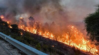 Authorities said on Monday that 97 fires were burning, affecting forests and agricultural areas in 16 governorates on the country’s eastern coast. AFP