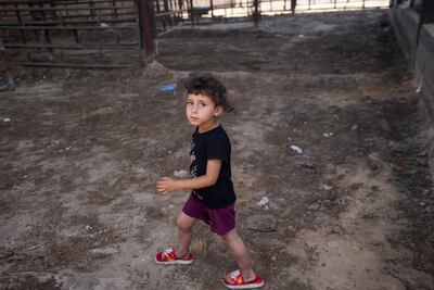 A Palestinian child walks through empty animal pens ahead of the Eid Al Adha holiday in Khan Younis. AP