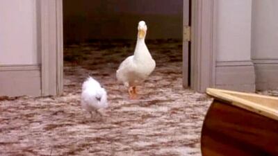 Courtesy Warner Bros Television