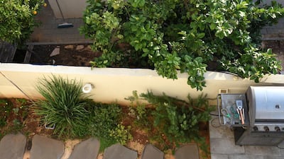 Herbs grow beside a barbeque in the Weingarten family's garden in Oranit settlement. Rosie Scammell for The National
