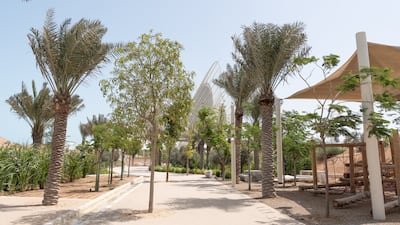 The 600-metre Al Masar Garden walkway stretches from Saadiyat coast to the museum's entrance. Photo: Zayed National Museum
