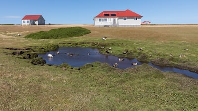 Houses on Bleaker Island. Alamy Stock Photo / AP Photo