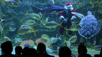 A scuba-diving Santa Claus feeds the fish at the Aquaria KLCC in Kuala Lumpur, Malaysia. AFP