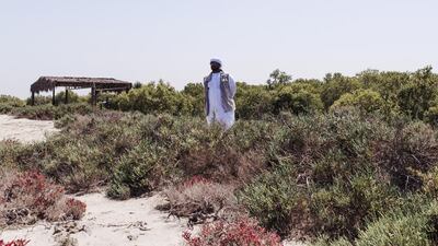 About 75 per cent of the UAE’s 450 species of birds can be found in Abu Dhabi, and about 40 or 50 of these can be seen in the mangroves.