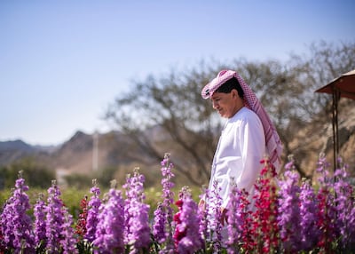 Emirati Mohammed Al Mazroui is the owner of the UAE Flower Farm. He started planting flowers seven years ago. Reem Mohammed / The National