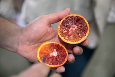 Blood oranges from the Fruit and Vegetable Market in Mina Zayed, Abu Dhabi. Silvia Razgova / The National