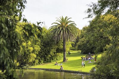 Enjoy the greenery of the Royal Botanic Gardens. Josie Withers / Visit Victoria
