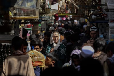 A bird market in old Kabul. Businesspeople say they are 'blind without phones and internet'. EPA