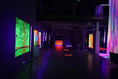 The artist often arranges to display her paintings under UV light. Courtesy the artist and Aisha Alabbar Gallery
