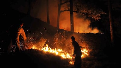 Residents battle wildfire that broke out in jungle near the northern hill town of Shimla in the state of Himachal Pradesh. AFP