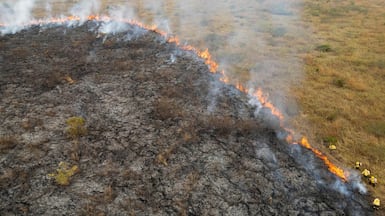 Firefighters tackle a fire in a rural area of Corumba, Brazil. AFP